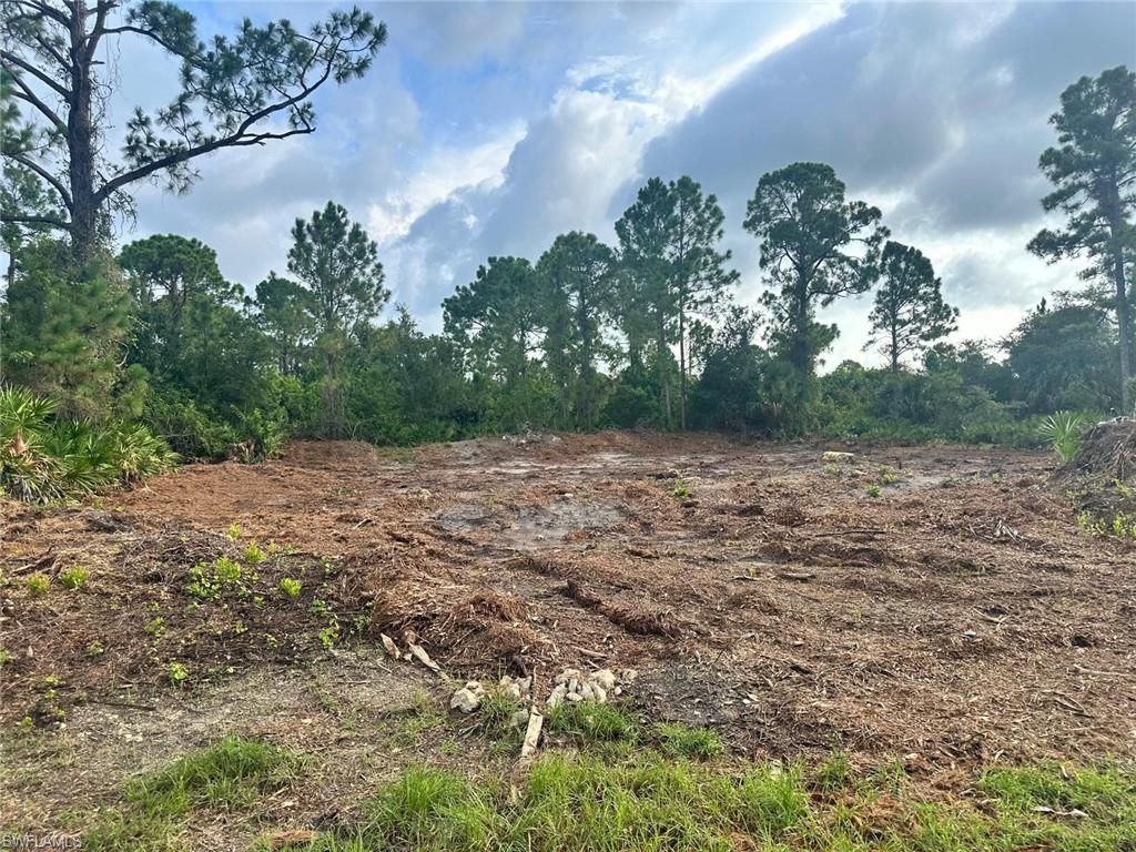 1063 Binkley ST E, LEHIGH ACRES, FL 33974 — exterior