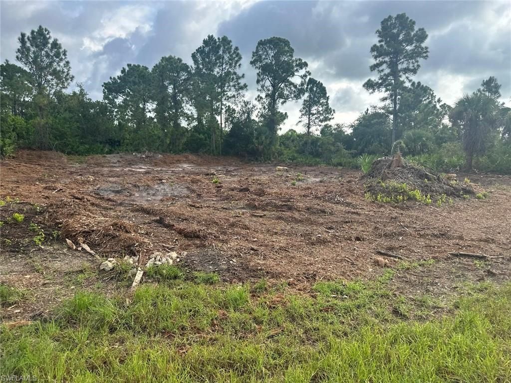 1063 Binkley ST E, LEHIGH ACRES, FL 33974 — photo 2