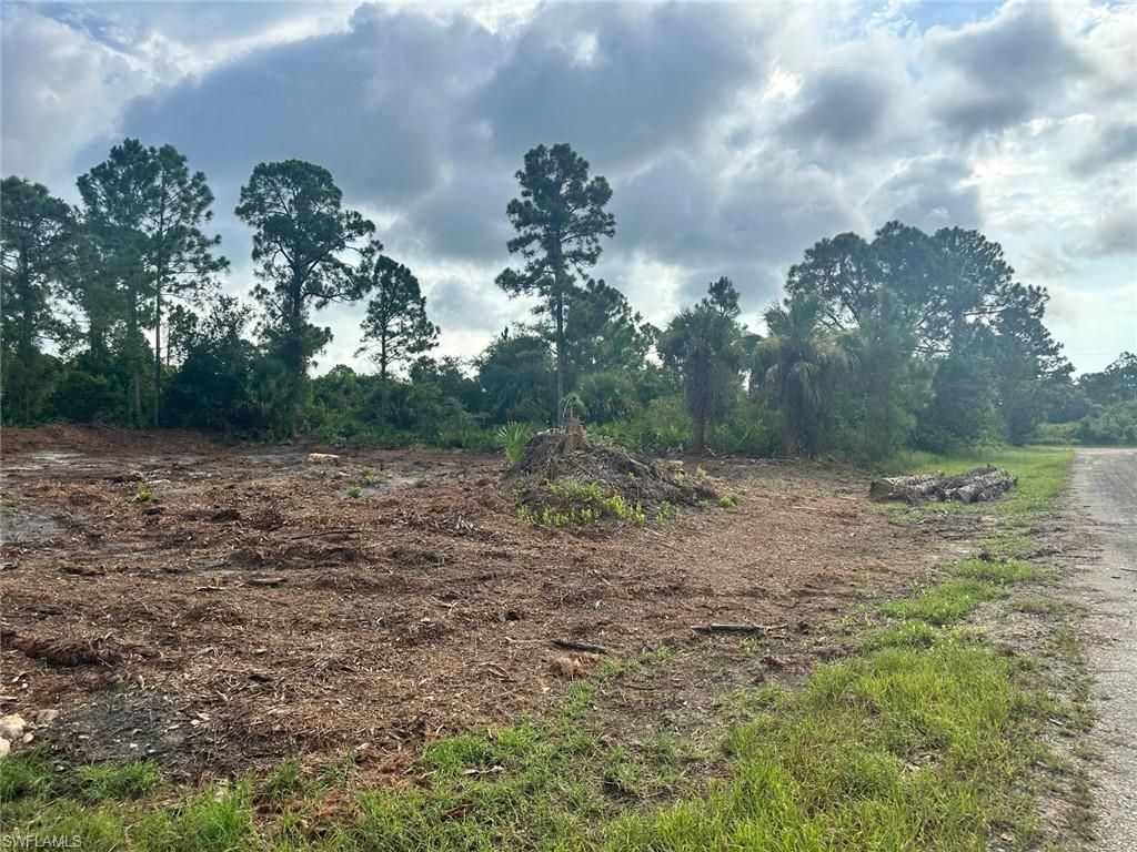 1063 Binkley ST E, LEHIGH ACRES, FL 33974 — photo 3