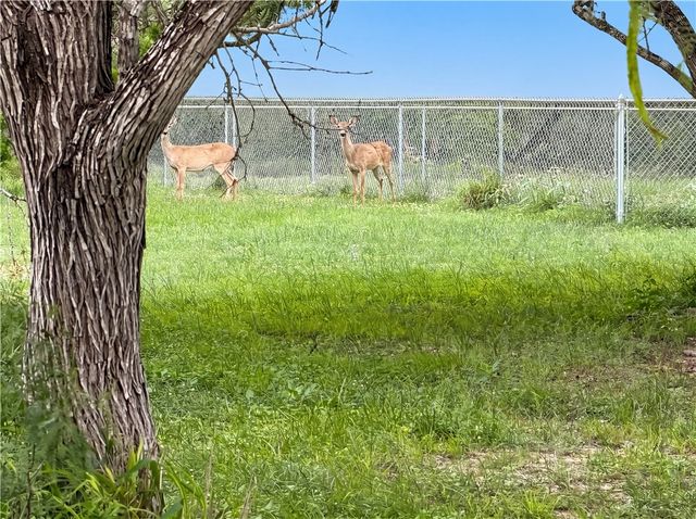 212 House Ave, Sandia, TX 78383