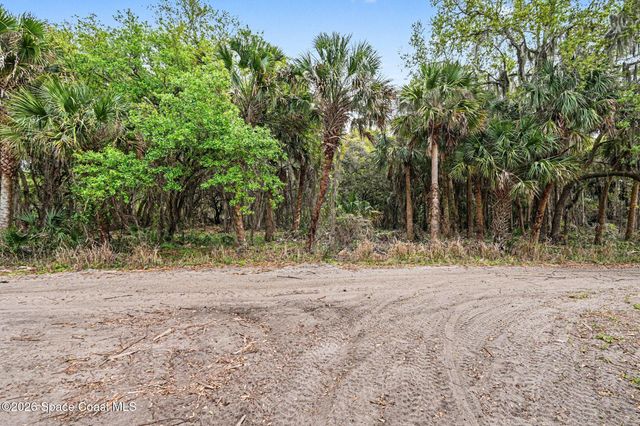 Tbd Osprey Avenue, Cocoa, FL 32926