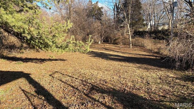 705 Palace Court, St Louis, MO 63135