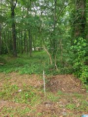 000 SHORE DRIVE, Ashville, AL 35953