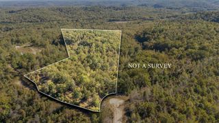 0 Cotton Court Rd, Clifton, TN 38425