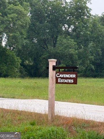 0 Bob Smith Road 5, Sharpsburg, GA 30277