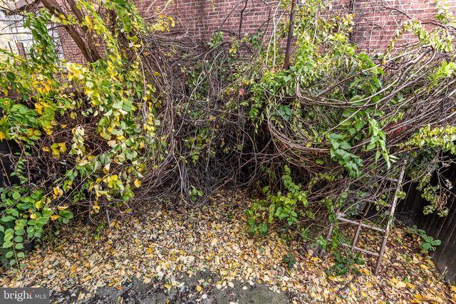 1139 W SOMERSET ST, Philadelphia, PA 19133