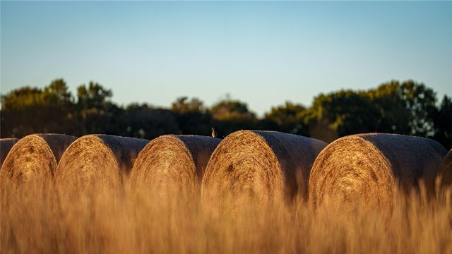 124 Private Road 3209, Bridgeport, TX 76426