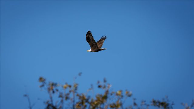 124 Private Road 3209, Bridgeport, TX 76426