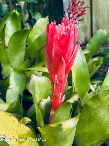 4618 Katy Drive, New Smyrna Beach, FL 32169