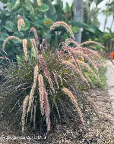 4618 Katy Drive, New Smyrna Beach, FL 32169