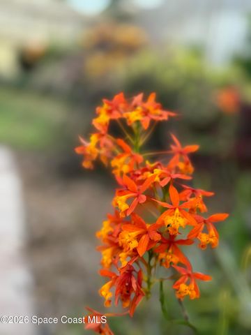 4618 Katy Drive, New Smyrna Beach, FL 32169