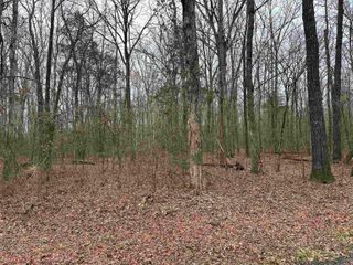 Lot 17 Woodland, Greers Ferry, AR 72067