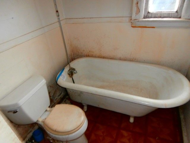 234 Dewitt Street, Buffalo, NY 14213