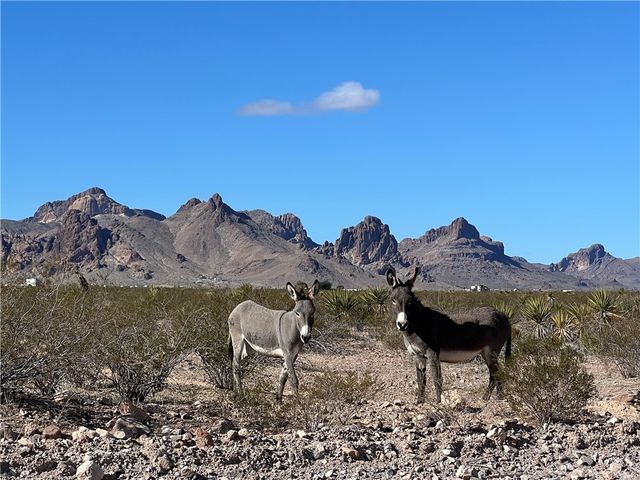 0000 W Aquarius Dr., Golden Valley, AZ 86413