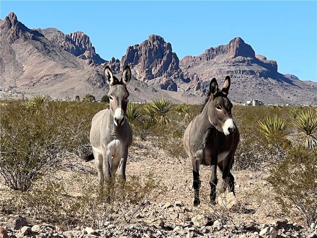 0000 W Aquarius Dr., Golden Valley, AZ 86413