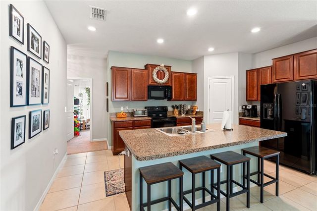 10512 FUZZY CATTAIL STREET, Riverview, FL 33578