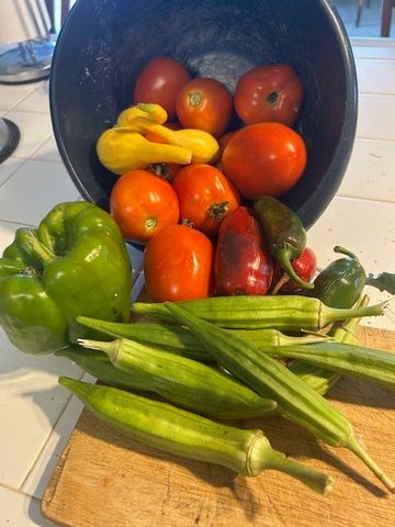 18880 S Skylight Mountain Road, Canehill, AR 72717