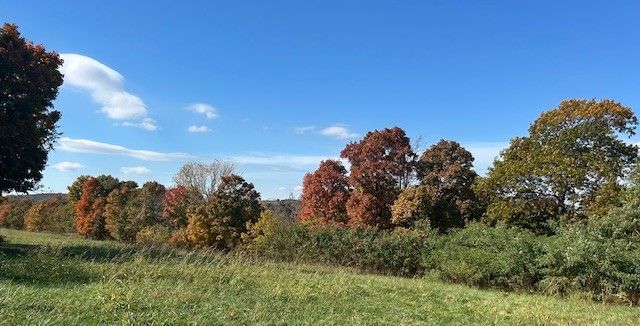 18880 S Skylight Mountain Road, Canehill, AR 72717