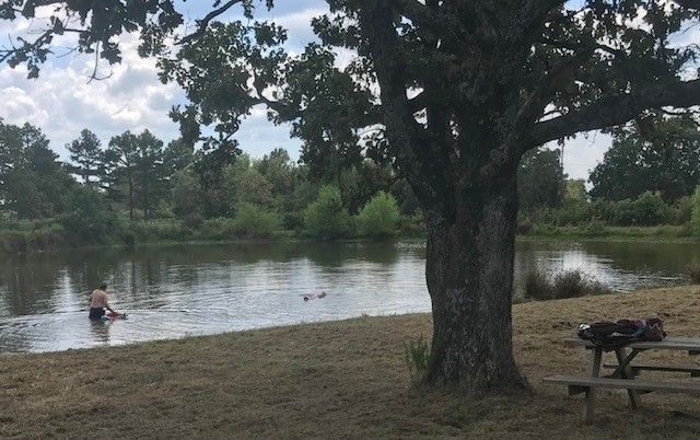 18880 S Skylight Mountain Road, Canehill, AR 72717