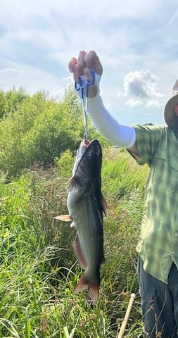 18880 S Skylight Mountain Road, Canehill, AR 72717