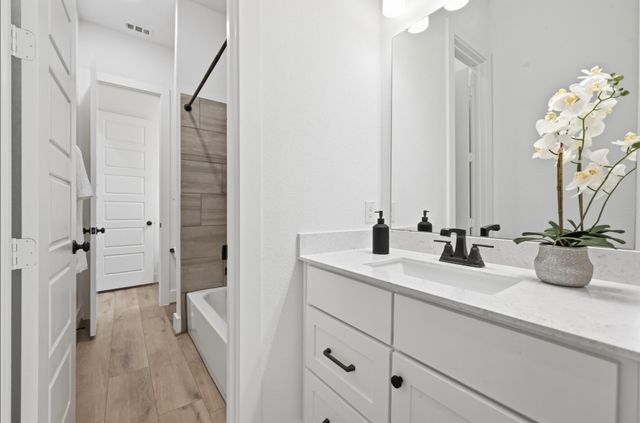 116 Lambs Ear PATH, San Marcos, TX 78666