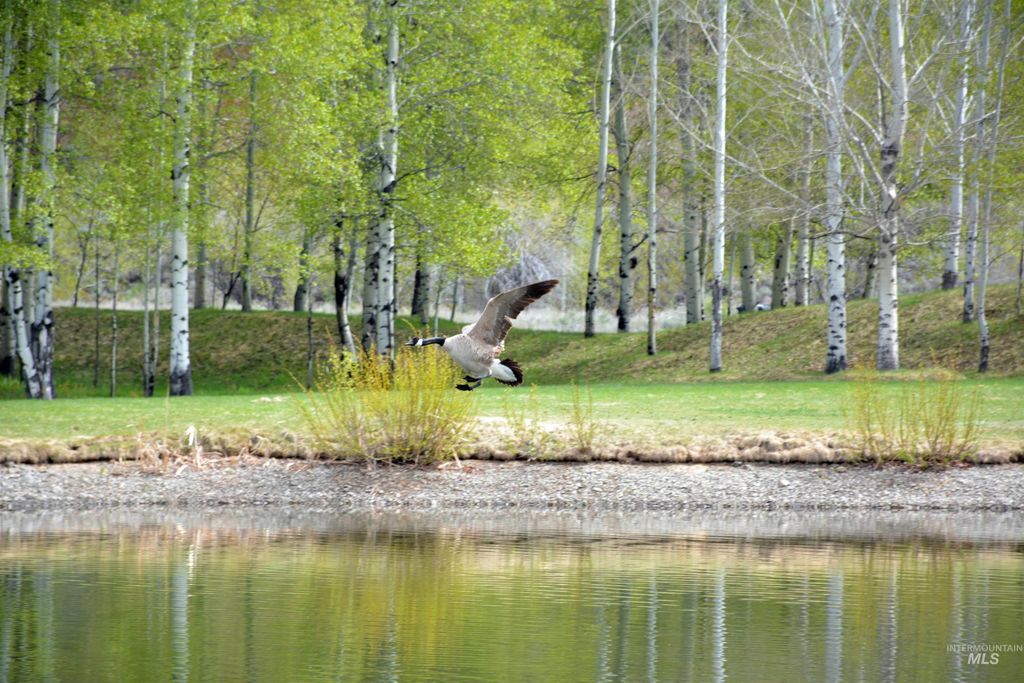 168 & 162 Wilderness Dr & 406 Wall, Ketchum, ID 83340 photo 14