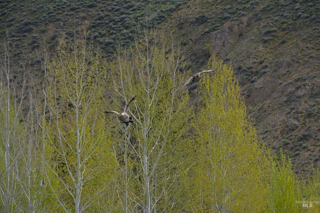 168 & 162 Wilderness Dr & 406 Wall, Ketchum, ID 83340 photo 15