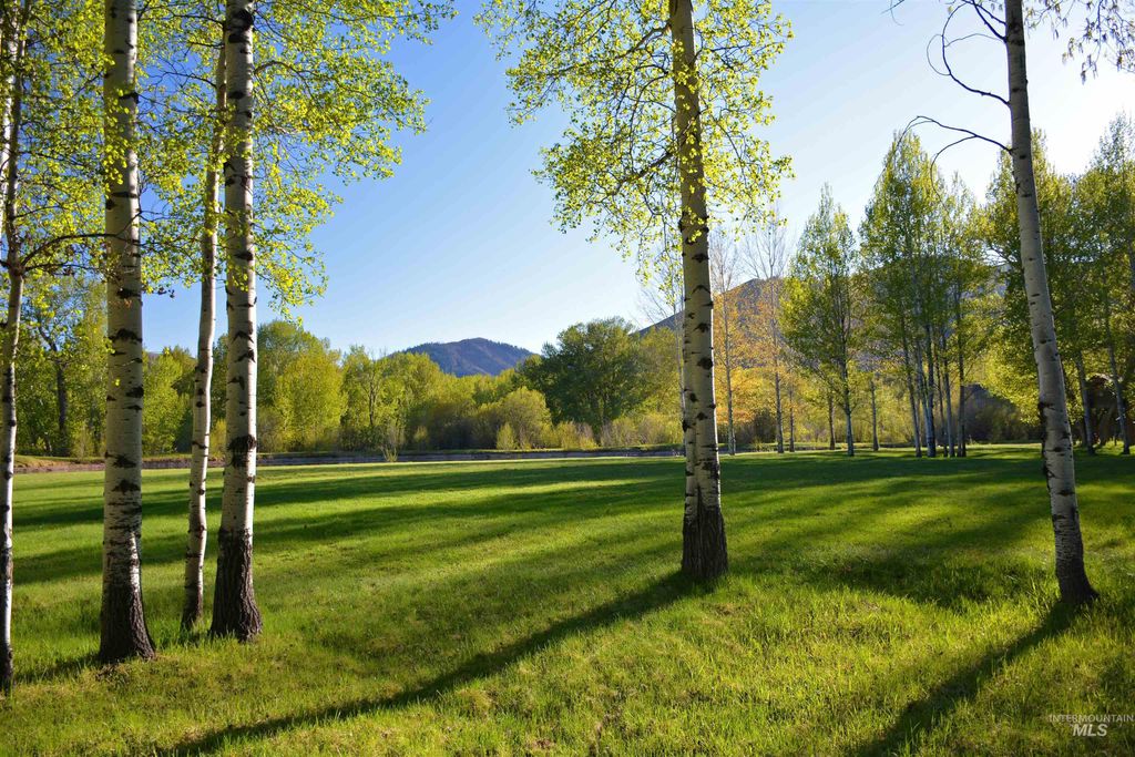 168 & 162 Wilderness Dr & 406 Wall, Ketchum, ID 83340 photo 7