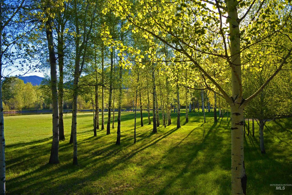 168 & 162 Wilderness Dr & 406 Wall, Ketchum, ID 83340 photo 8