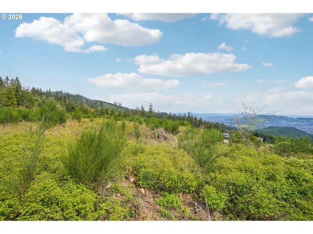 181 HIGH BANK Ln 2, Woodland, WA 98674