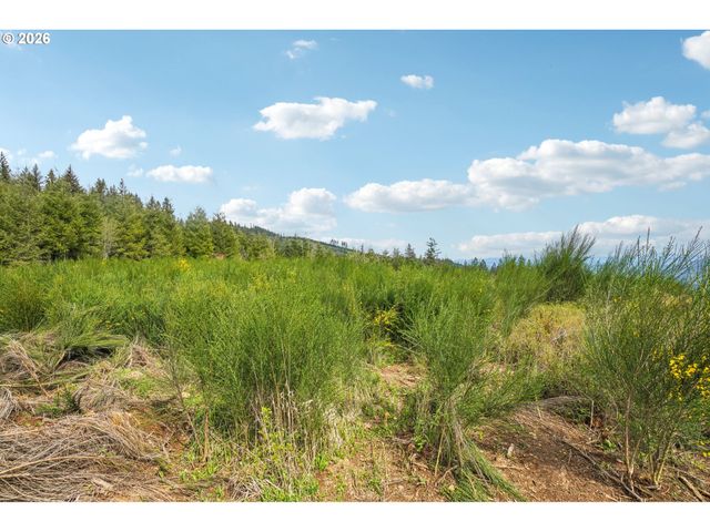181 HIGH BANK Ln 2, Woodland, WA 98674
