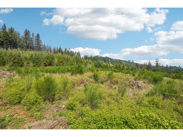 181 HIGH BANK Ln 2, Woodland, WA 98674