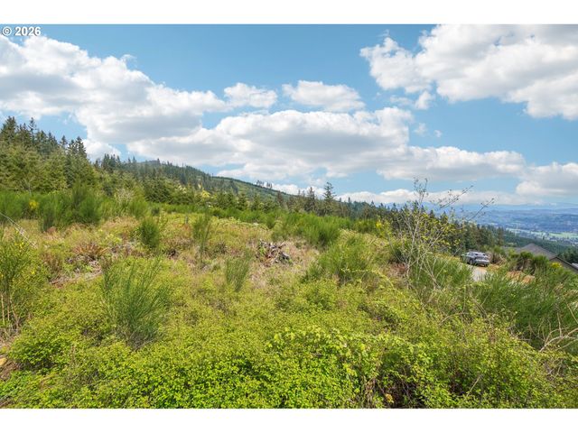 181 HIGH BANK Ln 2, Woodland, WA 98674