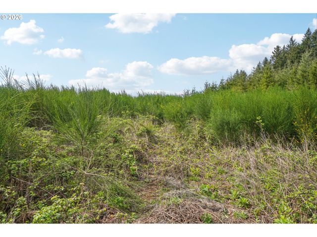 181 HIGH BANK Ln 2, Woodland, WA 98674