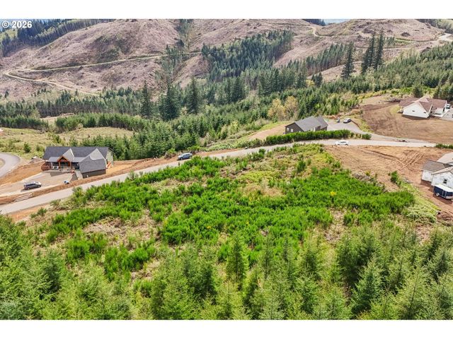 181 HIGH BANK Ln 2, Woodland, WA 98674