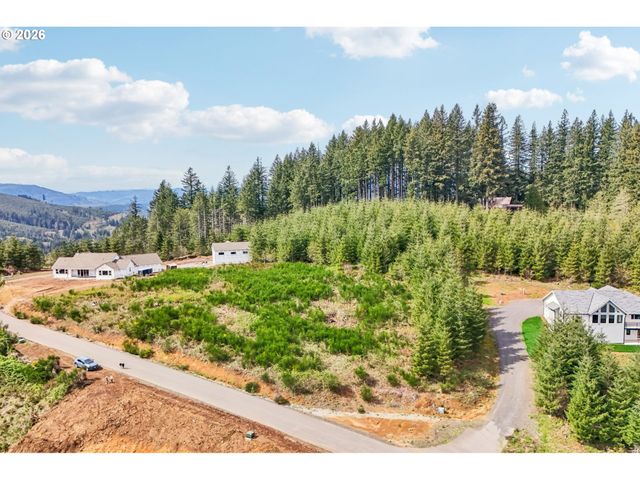 181 HIGH BANK Ln 2, Woodland, WA 98674