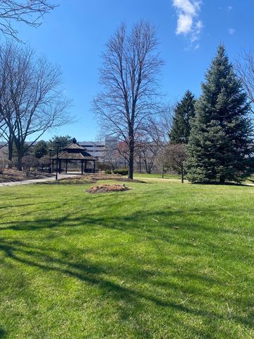 10114 Devon Court, Rosemont, IL 60018