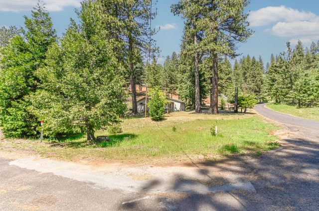 20093 Manzanita Way, Pioneer, CA 95666