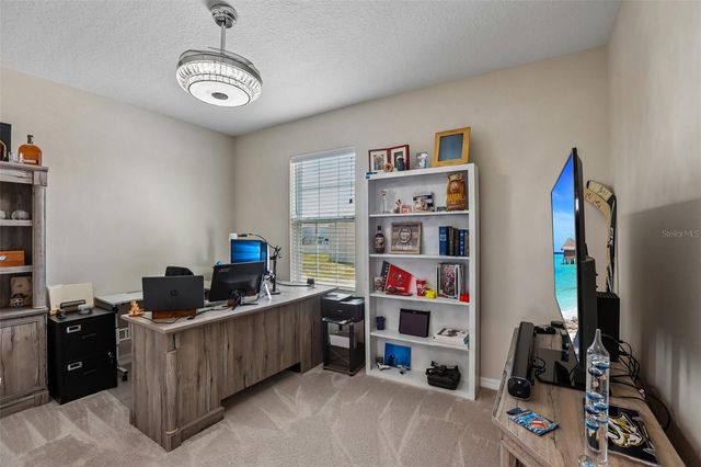 16976 OVAL RUM DRIVE, Wimauma, FL 33598