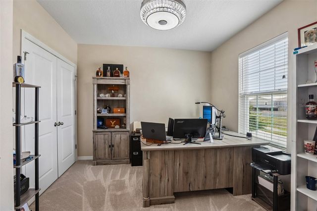 16976 OVAL RUM DRIVE, Wimauma, FL 33598