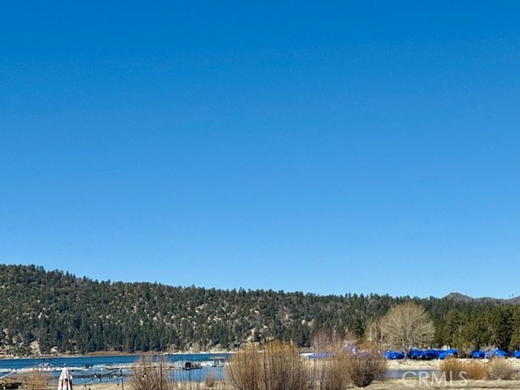 665 Metcalf, Big Bear Lake, CA 92315
