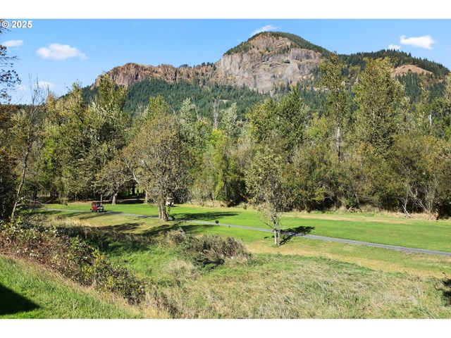 106 PAHATU St, North Bonneville, WA 98639