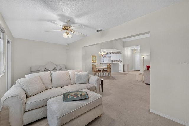 1023 MCDANIEL STREET 139, Sun City Center, FL 33573
