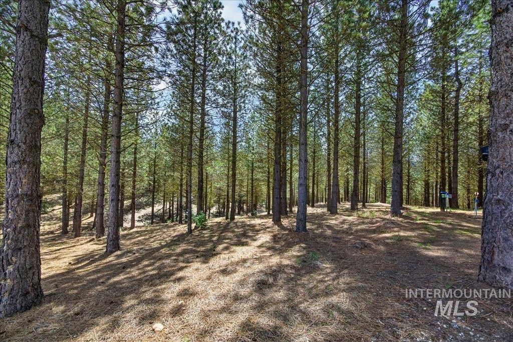 9512,9516,TBD Packer John Rd, Cascade, ID 83611 photo 39
