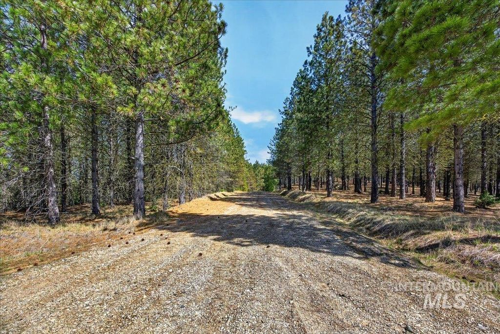 9512,9516,TBD Packer John Rd, Cascade, ID 83611 photo 40