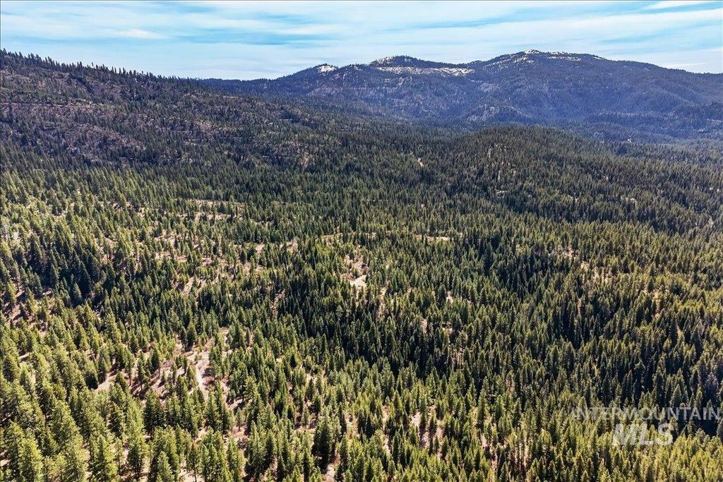 9512,9516,TBD Packer John Rd, Cascade, ID 83611 photo 42