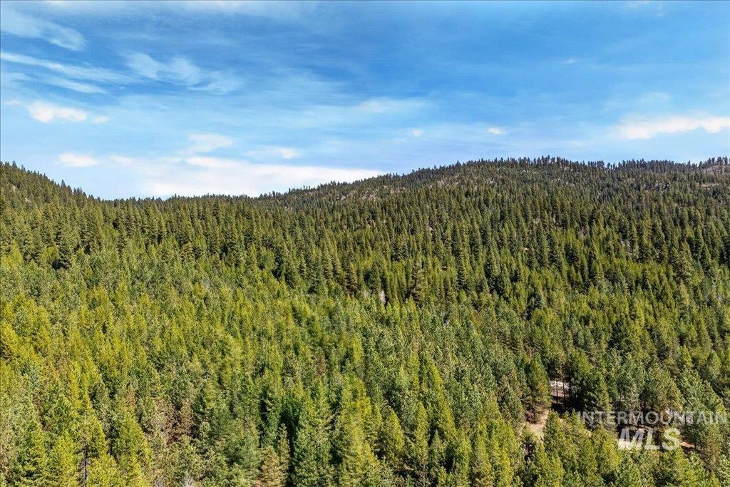 9512,9516,TBD Packer John Rd, Cascade, ID 83611 photo 43