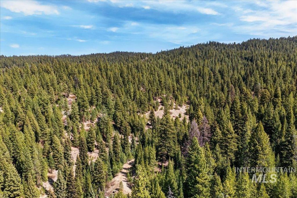 9512,9516,TBD Packer John Rd, Cascade, ID 83611 photo 48