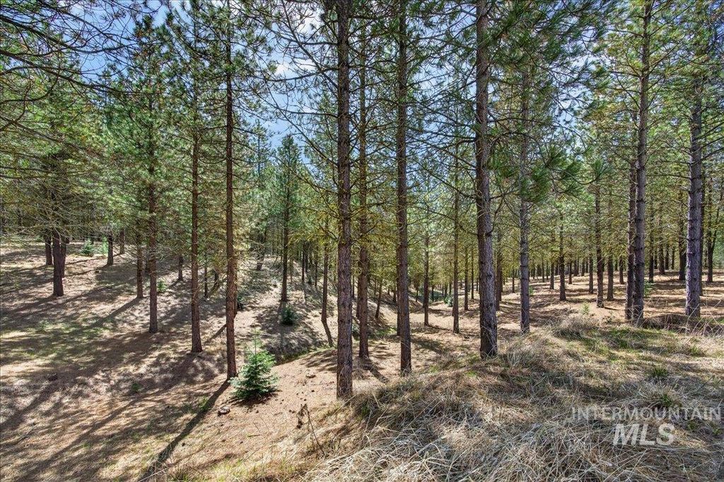 9512,9516,TBD Packer John Rd, Cascade, ID 83611 photo 8