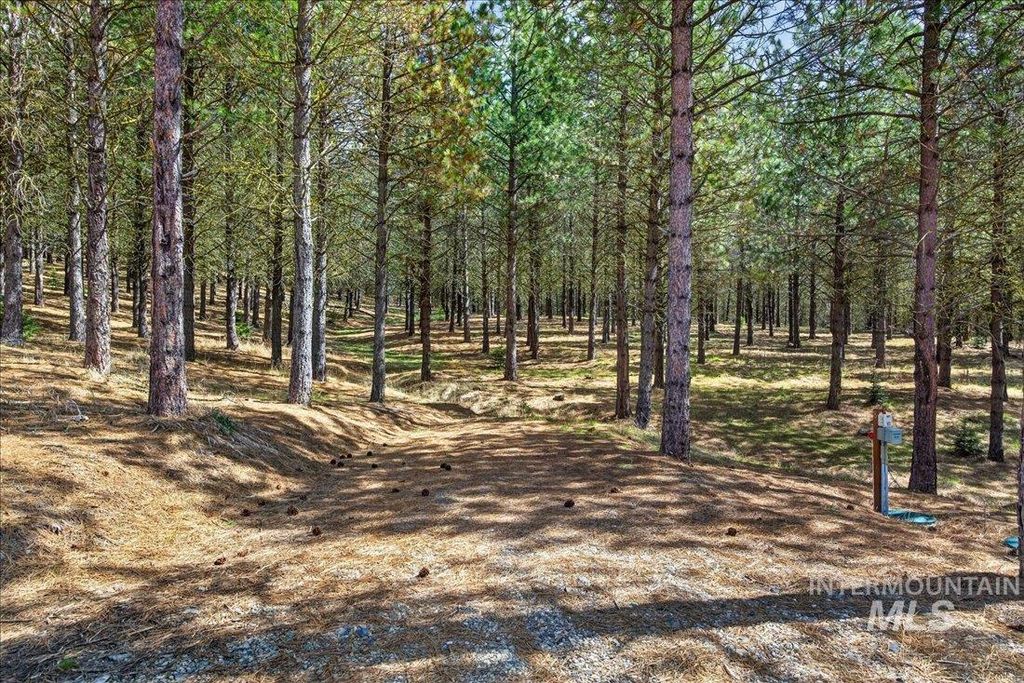 9512,9516,TBD Packer John Rd, Cascade, ID 83611 photo 9